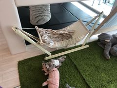 -Barbe a papa亲子餐厅(杨浦店)
