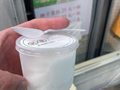 -洪馨椰子