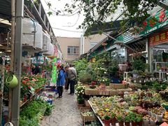 -曲阳花鸟市场(曲阳路店)