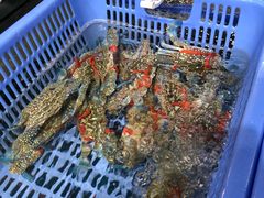 -盒马鲜生(曜一城店)