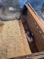 -酷嗒动物文化乐园(cutezoo西溪乐天城店)