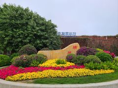 -芒洲湿地公园