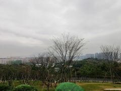 景点-飞凤山奥体公园