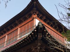 -南汇桃花村