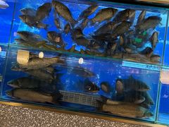 -顺峰顺水顺德菜(第一百货店)