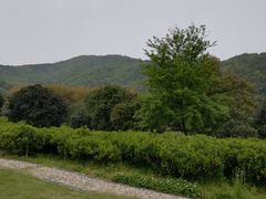 -龙寺生态园