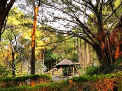 -深圳国际园林花卉博览园