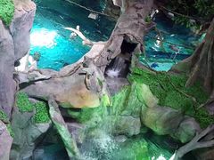 -福州罗源湾海洋世界旅游区