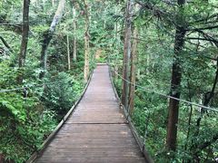 -罗田薄刀峰风景区