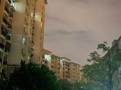 -段氏龙虾·烧烤·烤鱼(东书房路店)