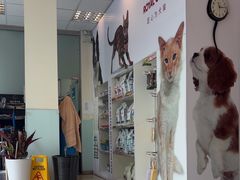 -瑞派申生动物医院·24H夜诊·国际动物医疗中心·骨外科(吴中路店)