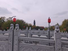 -洛阳市隋唐城遗址植物园
