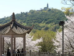 -苏州上方山国家森林公园