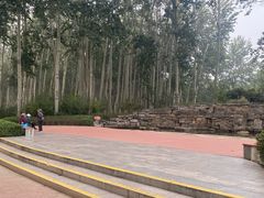 -仁和公园(顺义区)