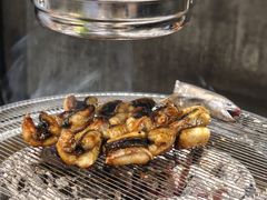 -本炙炭烤·蒲烧活鳗料理店(金沙洲店)