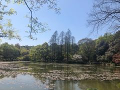 -杭州植物园