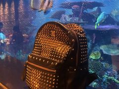-迪拜帆船酒店海底餐厅