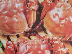 -蟹天蟹地农家菜·阳澄湖大闸蟹(浅水湾店)