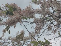 -白石龙音乐公园