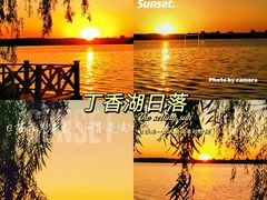 -丁香湖公园
