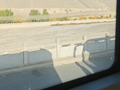 -敦煌石窟文物保护研究陈列中心