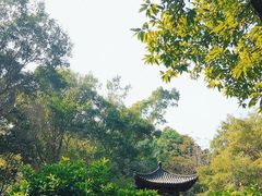 -深圳国际园林花卉博览园