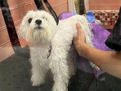 -FAELING PETS美天灵宠物(合生汇店)