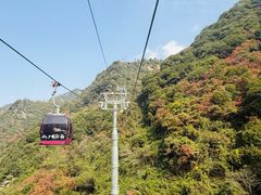 -少华山国家森林公园