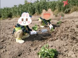点击看大图 -麦粒鸟亲子游