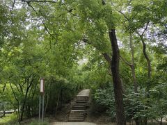 -元大都城垣遗址公园