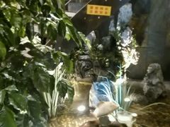 android_upload_pic-春天里·老街坊餐厅(港隆广场店)