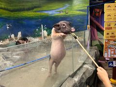 -正佳雨林生态植物园