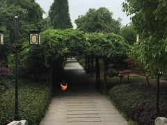 -白马涧龙池景区