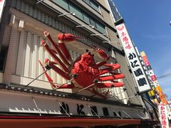 -蟹道乐(道顿堀本店)