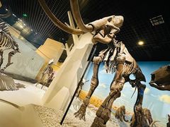 -国家自然博物馆