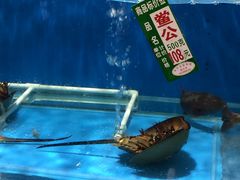 -御唐府海珊瑚主题餐厅