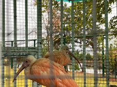 -鄱阳湖国家湿地公园