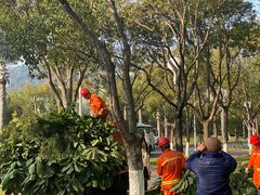 -厦门国家会计学院