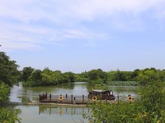 -西溪国家湿地公园