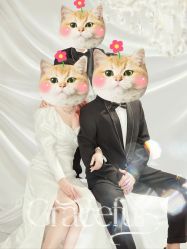 -海马体家庭照相馆(杭州远洋乐堤港店)