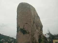 -洋山深水港
