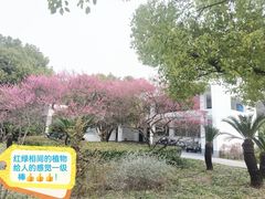 -颐景园