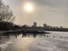 -莲花池公园