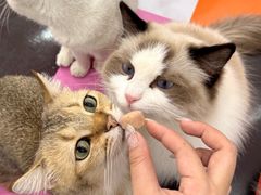 -福田卓悦INTOWN购物中心