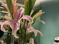 -南堂馆·新川菜(春熙路店)