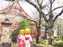 a产品-东京浅草和服体验江户和装工房雅(浅草本店)