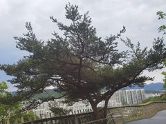 -福道