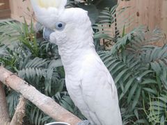 -南宫五洲植物乐园