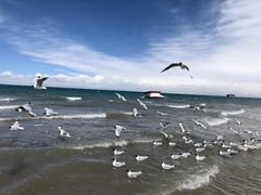 -青海湖二郎剑景区