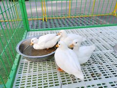 -北京华联购物中心(天通苑店)